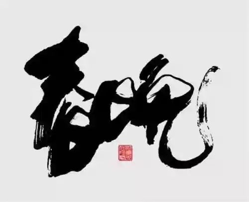 猪年春晚阵容搭配插图5