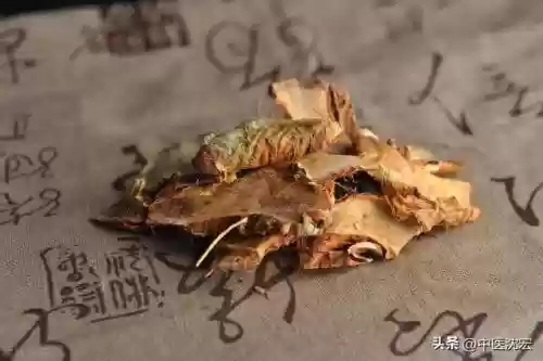 水主汗阵容搭配(最新版本最强水主阵容)插图2