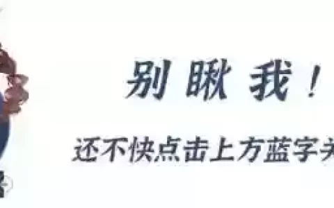 暗器唐晨阵容搭配(唐门唐三暗器搭配最新)