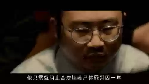 三狼最好阵容搭配图(三排什么阵容最好)插图1