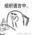 王朝进攻阵容搭配图(大皇帝阵容搭配)插图