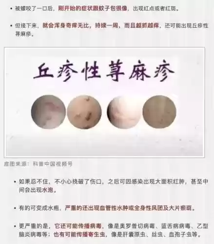克制水泡枪阵容怎么搭配(什么阵型克制3421)插图9