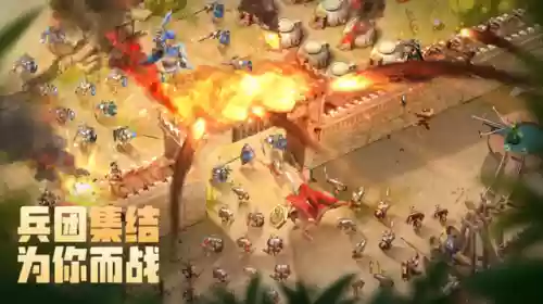 蚁族崛起人物阵容搭配(蚁族崛起后期必练英雄)插图2
