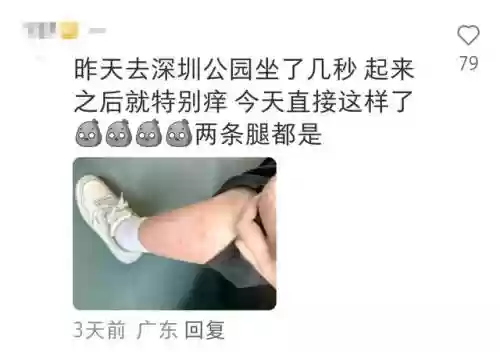 克制水泡枪阵容怎么搭配(什么阵型克制3421)插图4
