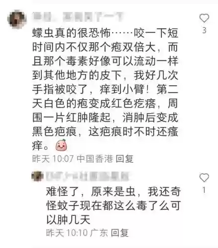 克制水泡枪阵容怎么搭配(什么阵型克制3421)插图10
