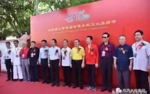 太极演员阵容搭配图(太极宗师全部演员表)