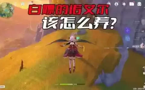 艾诺尔前期阵容搭配攻略(诺艾尔主c怎么搭配)