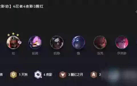 夜隐忍者阵容搭配攻略(侍忍者最佳阵容)