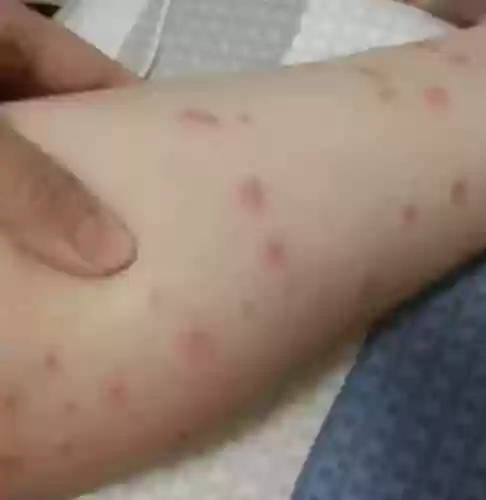 克制水泡枪阵容怎么搭配(什么阵型克制3421)插图1