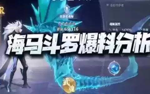 海马魂环搭配阵容图(新斗罗大陆最强阵容)