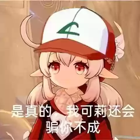 雷电将军乂钟离阵容搭配(原神钟离阵容搭配推荐)插图18