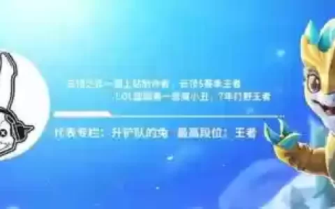 福星羁绊夜影阵容搭配(福星羁绊有哪些)