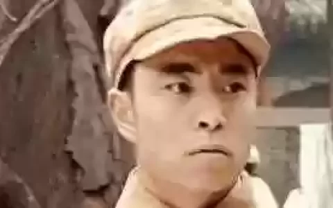 精英部队阵容怎么搭配好(枪手斗士配什么阵容)