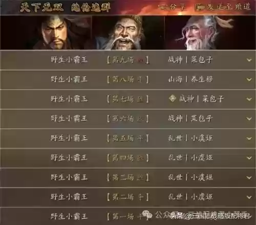 三国志赵云马超蔡文姬阵容(三国志战略版平民赵云搭配)插图2