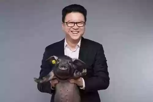 多多自走棋晦暗之谋阵容(王者自走棋阵容推荐)插图10