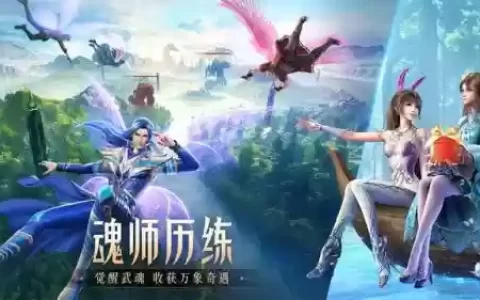 风笑天刷世界悬赏佩环阵容(风笑天魂环搭配最佳搭配)