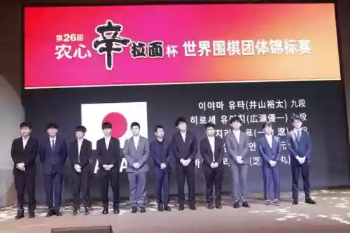 棋圣赛阵容(英雄棋士团人族最强阵容)插图3