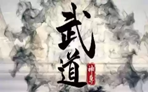 武道尊者阵容搭配