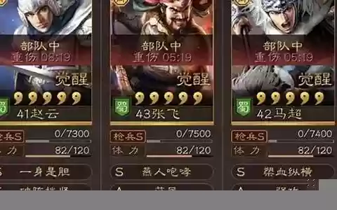 赵云袁绍阵容搭配战法