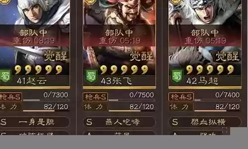 赵云袁绍阵容搭配战法插图