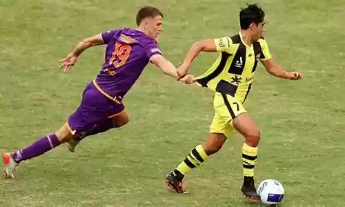 珀斯和惠灵顿阵容搭配插图