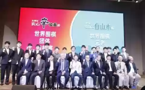 棋圣赛阵容(英雄棋士团人族最强阵容)
