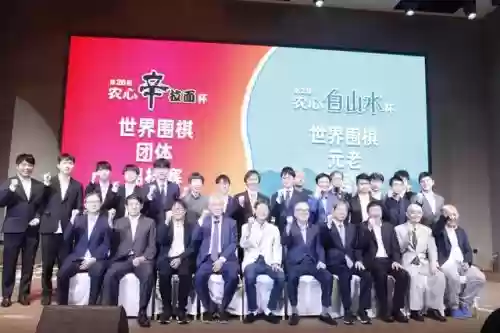 棋圣赛阵容(英雄棋士团人族最强阵容)插图