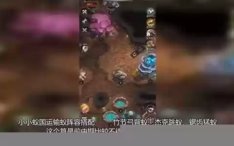 觉醒宠物推荐阵容搭配