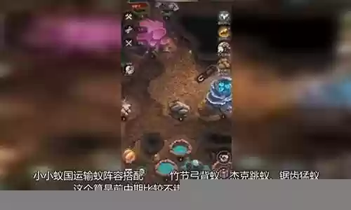 觉醒宠物推荐阵容搭配插图