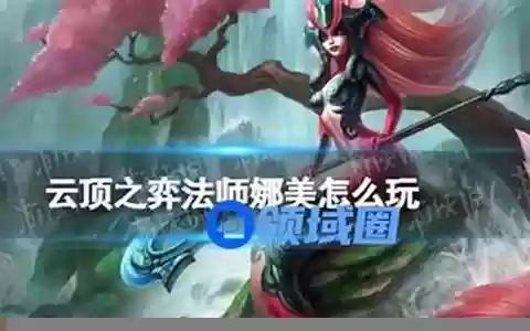 娜美怎么搭配阵容
