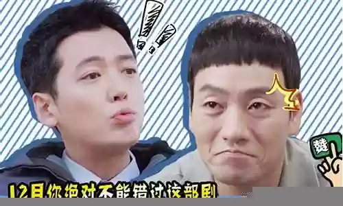 今年绝不能错过的阵容搭配插图