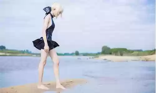 fate泳装saber阵容搭配插图