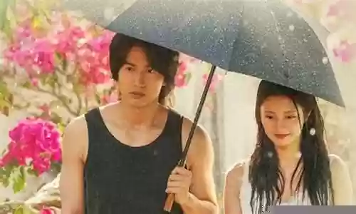 夏花演员阵容搭配图片插图