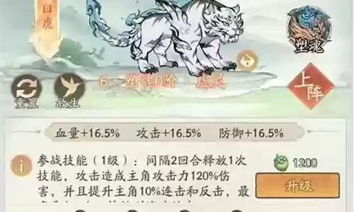 白虎如何搭配阵容图片插图