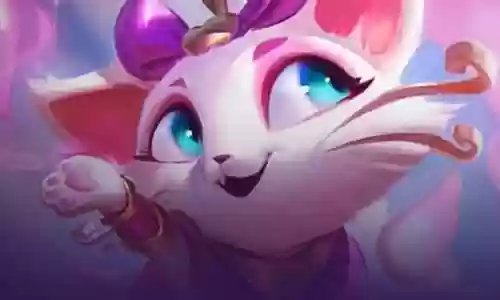 不同阵容猫咪搭配插图