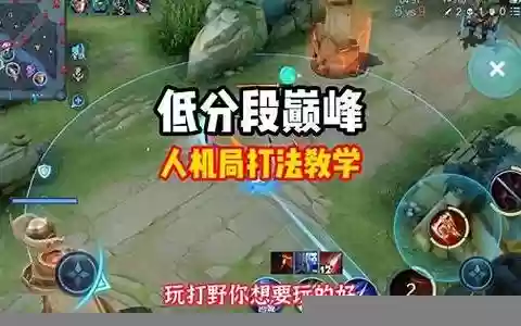 阵容搭配教学打野