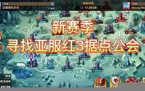 天空vs自由阵容搭配