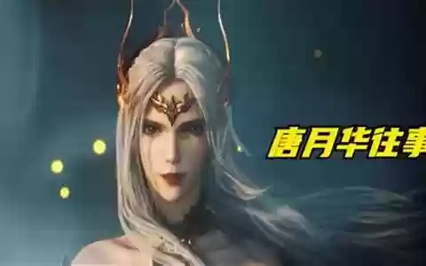 唐月华pk阵容搭配
