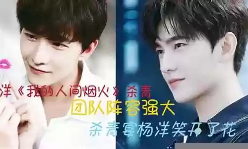 杨洋如何搭配阵容插图