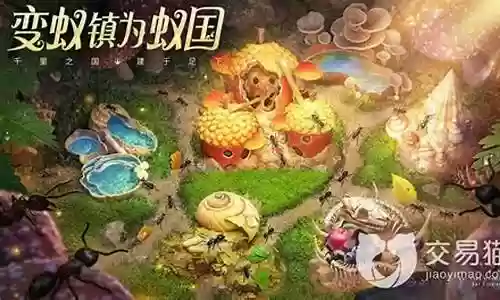 小小蚁国阵容技能搭配插图