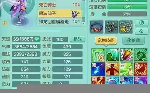 99级龙宫竞技伙伴阵容搭配
