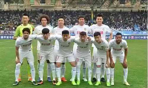 天津权健阵容插图