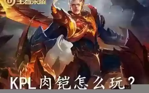 适合肉铠的阵容搭配