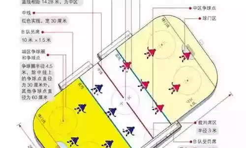 冬奥贵宾阵容名单插图