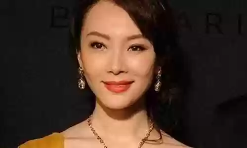 陈数阵容前插图