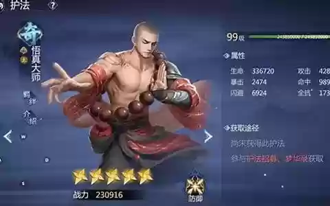 天王护法搭配什么阵容最强