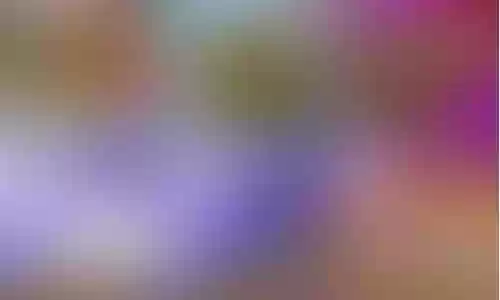 世界第二阵容插图