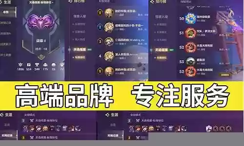 代练固定阵容插图