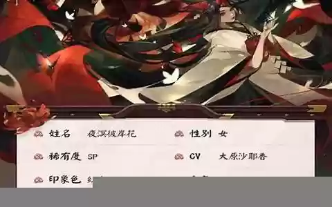 夜溟彼岸花搭配阵容