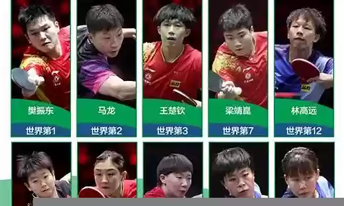 世乒赛2017阵容插图